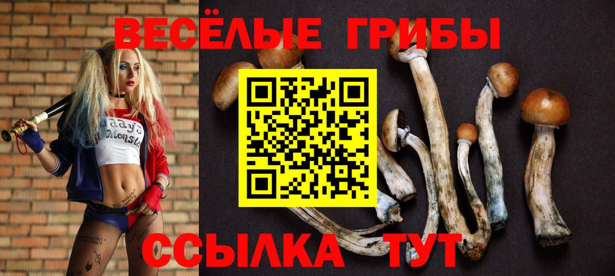 Галлюциногенные грибы Psilocybe  Псилоцибиновые грибы MAGIC MUSHROOMS  Вход с VPN  Асбест 