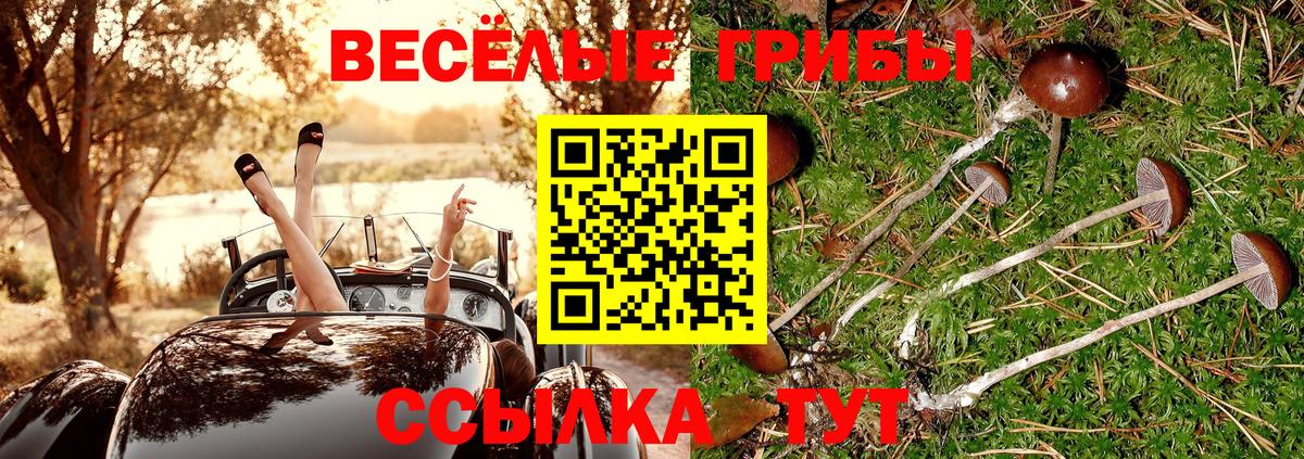 Псилоцибиновые грибы мицелий Асбест